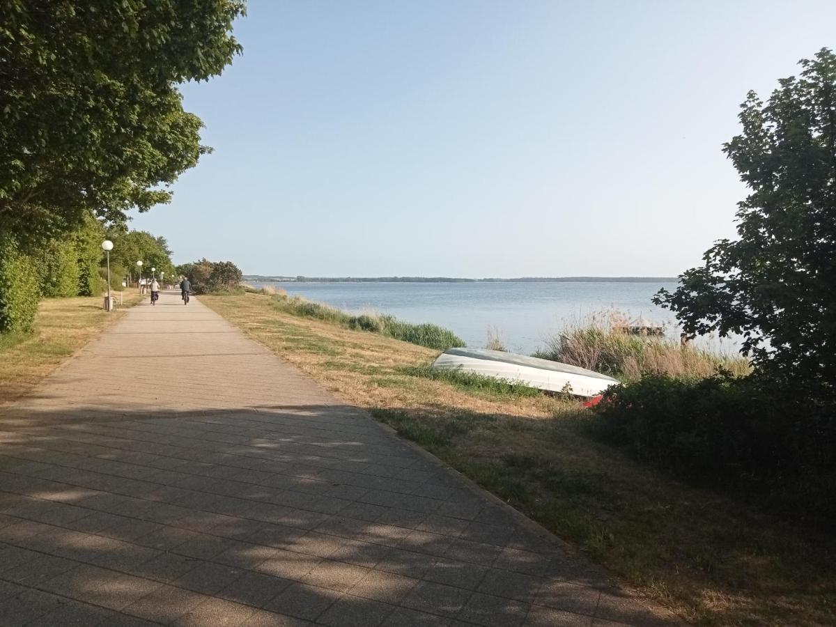 Strandgruen Rerik Bagian luar foto
