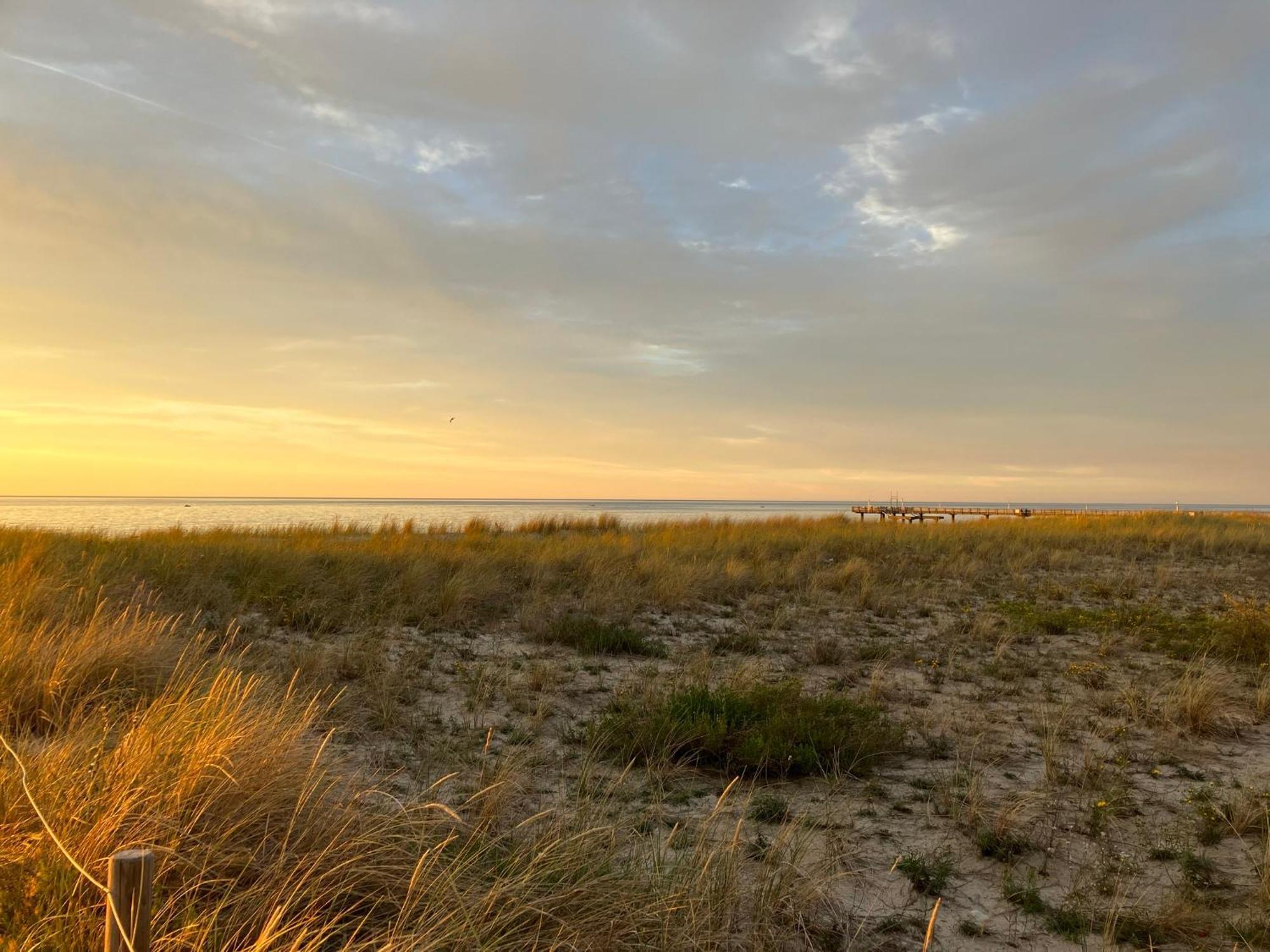 Strandgruen Rerik Bagian luar foto