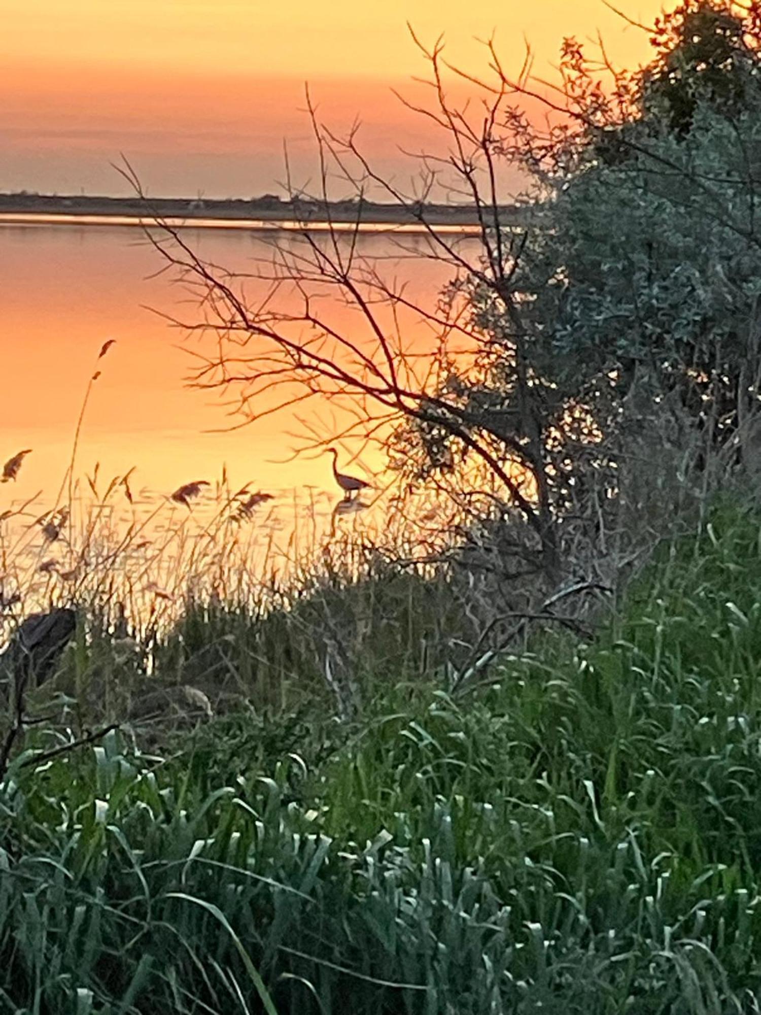 Strandgruen Rerik Bagian luar foto